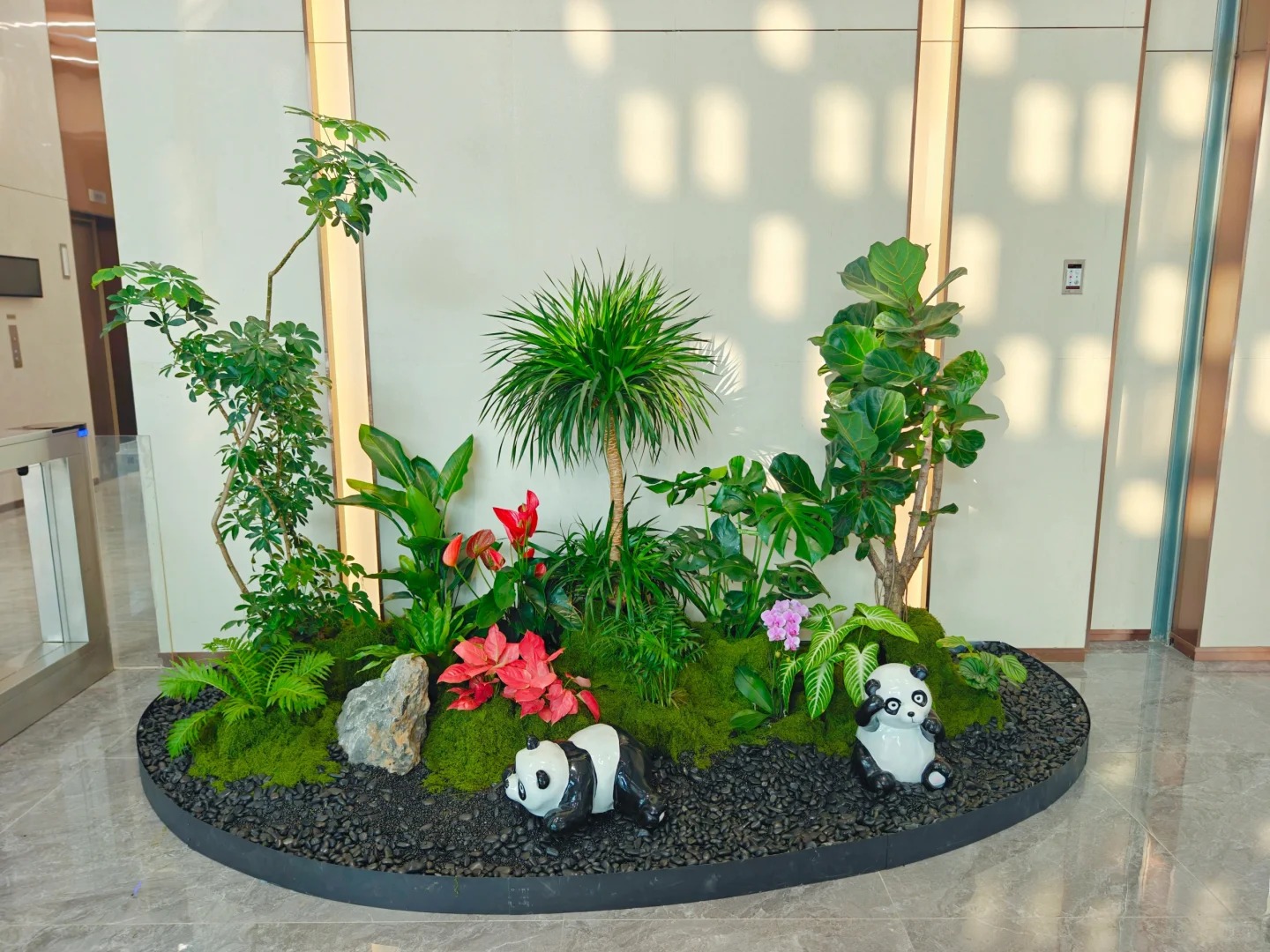 优质服务北仑花卉租赁，你不容错过！